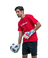 Soccer Futbol Sticker by Scotiabank Costa Rica