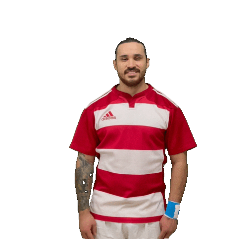 Try Meta Sticker by RIMINI RUGBY