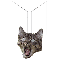 Mmpg Sticker by MPGROUPLTD