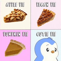 Pumpkin Pie Penguin GIF by Pudgy Penguins