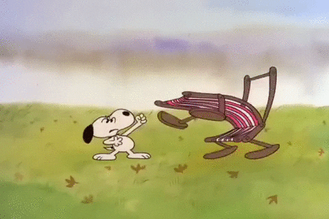 charlie brown thanksgiving GIF by Peanuts