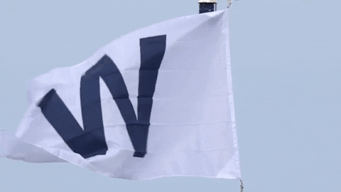 Baseball Win GIF by Marquee Sports Network