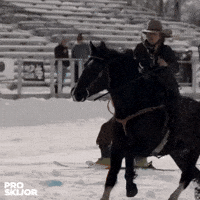 proskijor skiing horses wintersports horseracing GIF