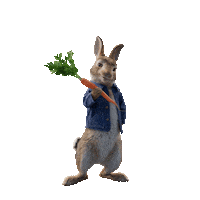 Lets Go Waiting Sticker by Peter Rabbit Movie