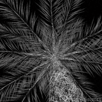 Black And White 3D GIF by Pi-Slices