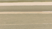 Driving Formula 1 GIF by Mercedes-AMG Petronas Formula One Team