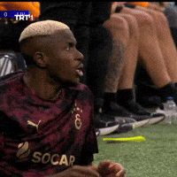 Futbol Galatasaray GIF by TRT