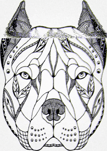 marlbrand giphygifmaker GIF