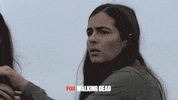 foxnederland  GIF