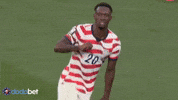 Usa Soccer GIF by DODO Social