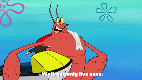season 9 episode 13 GIF by SpongeBob SquarePants