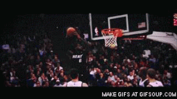 black mamba GIF