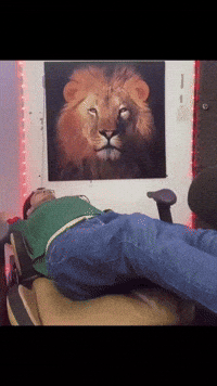 uryelury meme risada cadeira caindo GIF