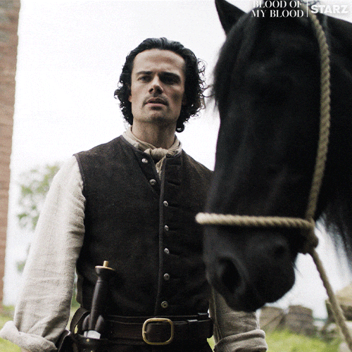 Horse Quiet Down GIF by Outlander
