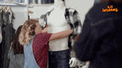 lilinterns what shocked break change GIF