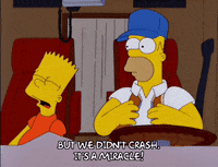 homer simpson GIF
