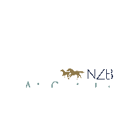 Nzb Sticker by New Zealand Bloodstock