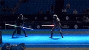 star wars fencing GIF by Digg
