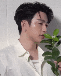 Parkjinyoung GIF