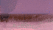Low Tides GIF by Topshelf Records
