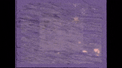 Low Tides GIF by Topshelf Records