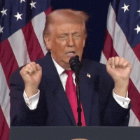Donald Trump Usa GIF by Respective