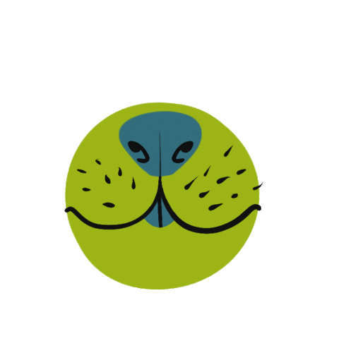 bula_fabula giphyupload fabula bula tpbfsrd19 Sticker