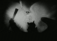 f. w. murnau angel GIF by Maudit