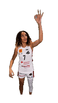 Basketball Bundesliga Sticker by TKH Luchse