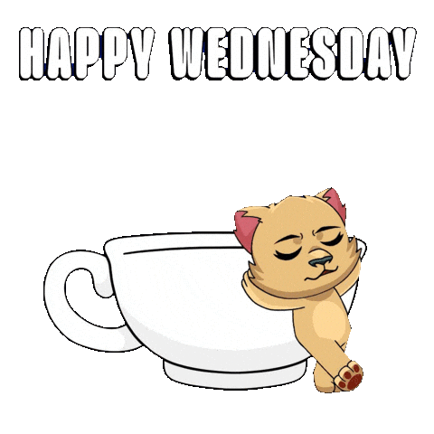 Happy Wednesday Morning Sticker by Kabu