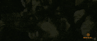 Chadwick Boseman Goat GIF by Regal
