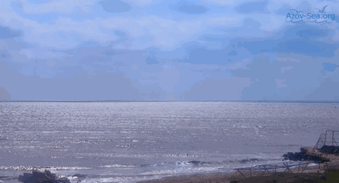 stepanovka GIF