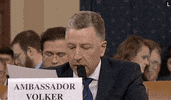 news impeachment impeachment inquiry kurt volker GIF