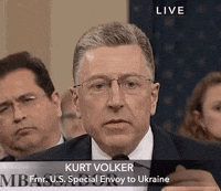 news impeachment impeachment inquiry kurt volker GIF