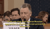 news impeachment impeachment inquiry kurt volker GIF