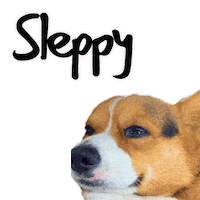 Sleepy Sticker