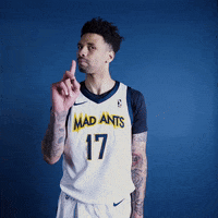 themadants basketball no nba nope GIF