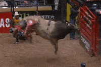 Wreck GIF by Professional Bull Riders (PBR)