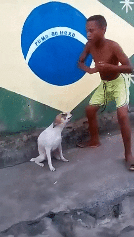 dancing GIF
