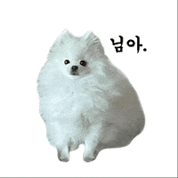 earthjota earthjota 얼쓰좋다 GIF