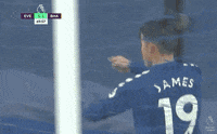 Premier League Football GIF