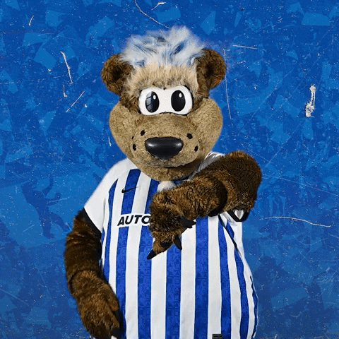 Bundesliga Berlin GIF by Hertha BSC