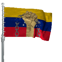 Dia De La Independencia Freedom Sticker by Mr Urbina