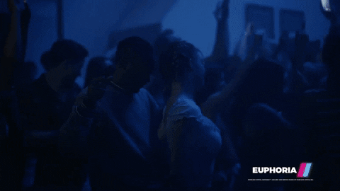 Euphoria GIF by Showmax