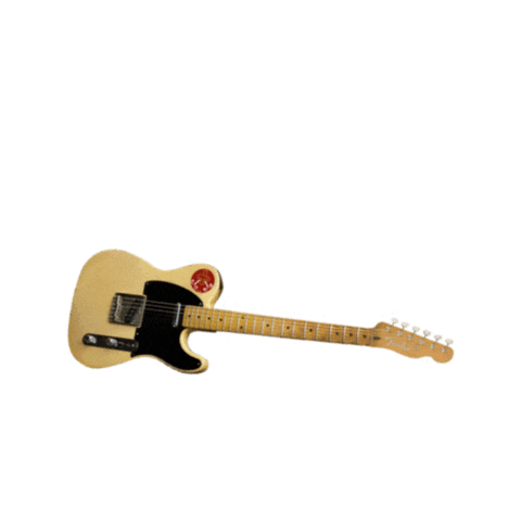 tompettyofficial giphyupload rock guitar wildflowers Sticker