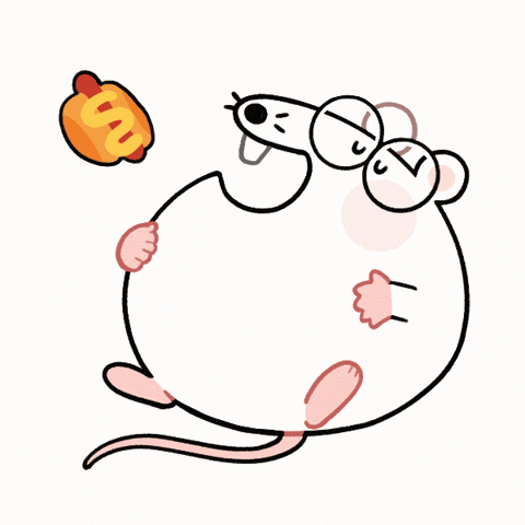 DoctorCorio giphyupload cute eat mouse GIF