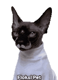 FloksiPet cat pet кот sphinx Sticker