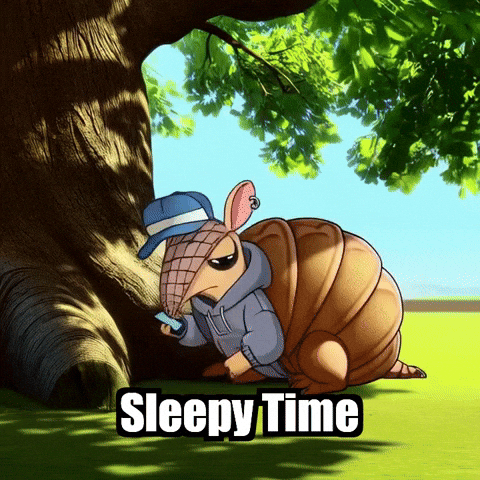 Relaxation Armadillo GIF by Chillo Dillo