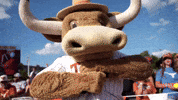 Ncaasoftball GIF by Texas Longhorns