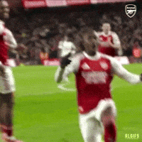 Premier League Celebration GIF